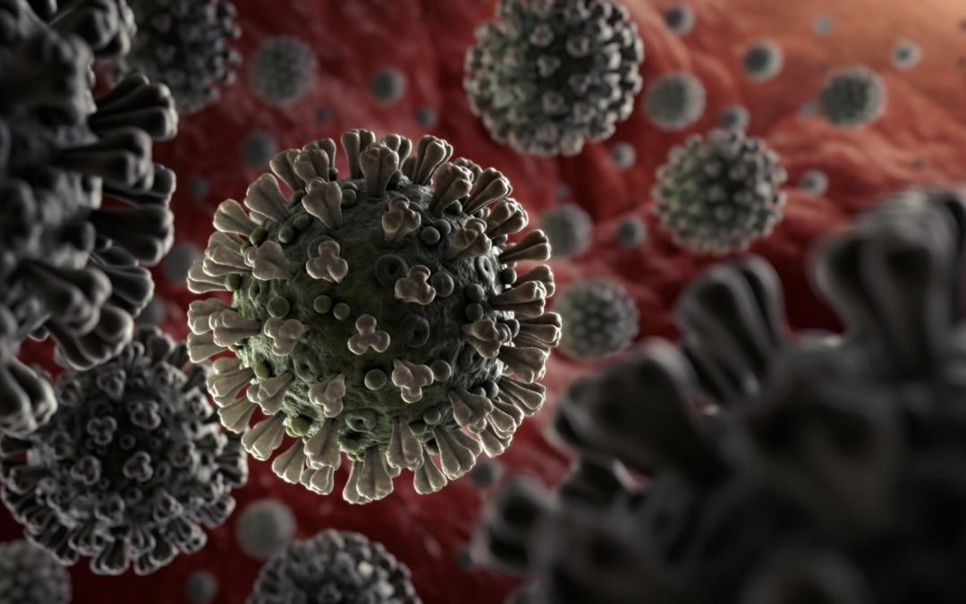 Consulta aquí los datos en linea de Corona-virus en el Mundo